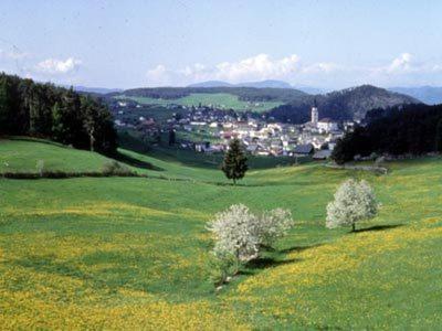 Garni Waldfrieden Ξενοδοχείο Castelrotto Εξωτερικό φωτογραφία