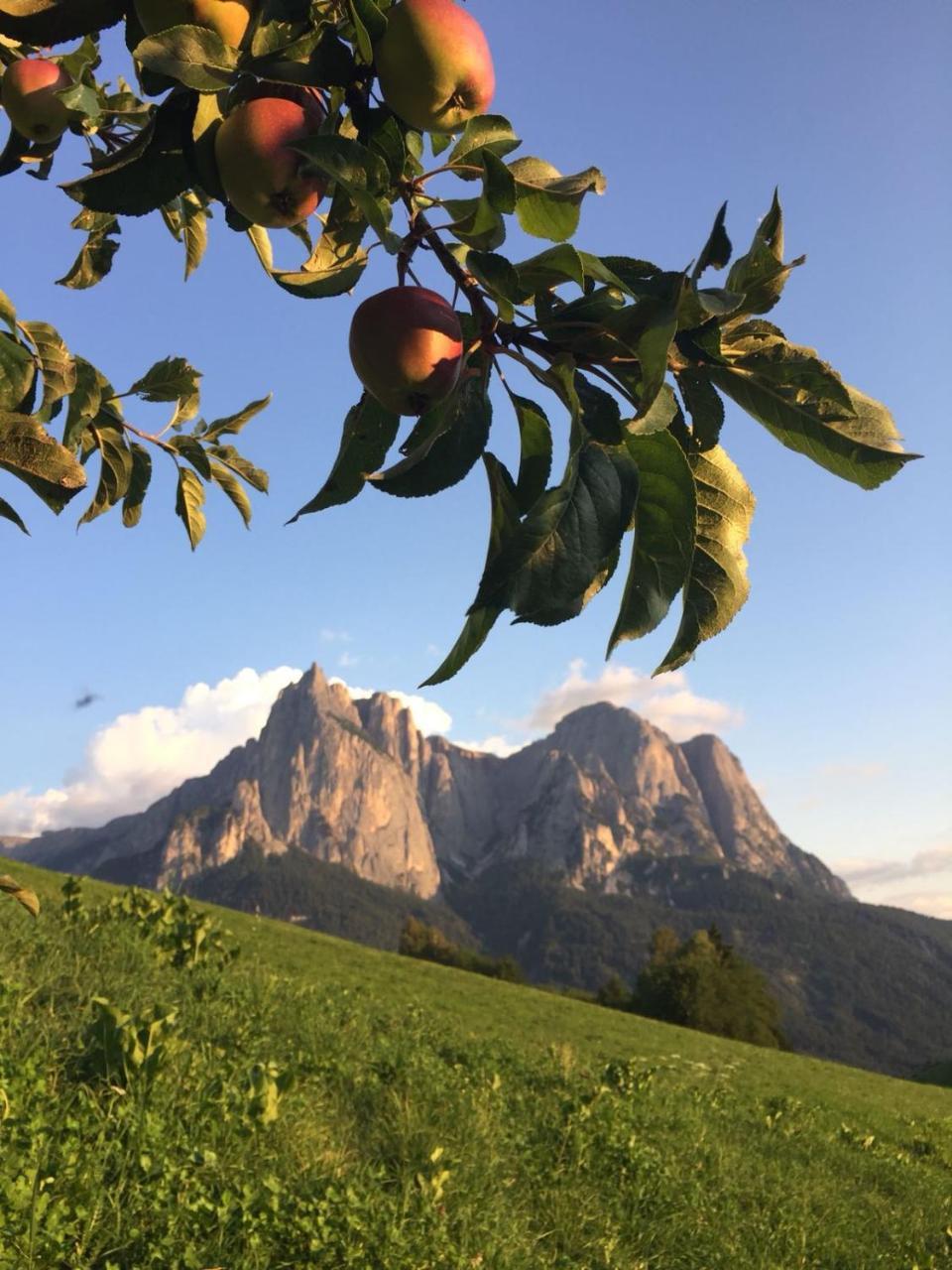Garni Waldfrieden Ξενοδοχείο Castelrotto Εξωτερικό φωτογραφία